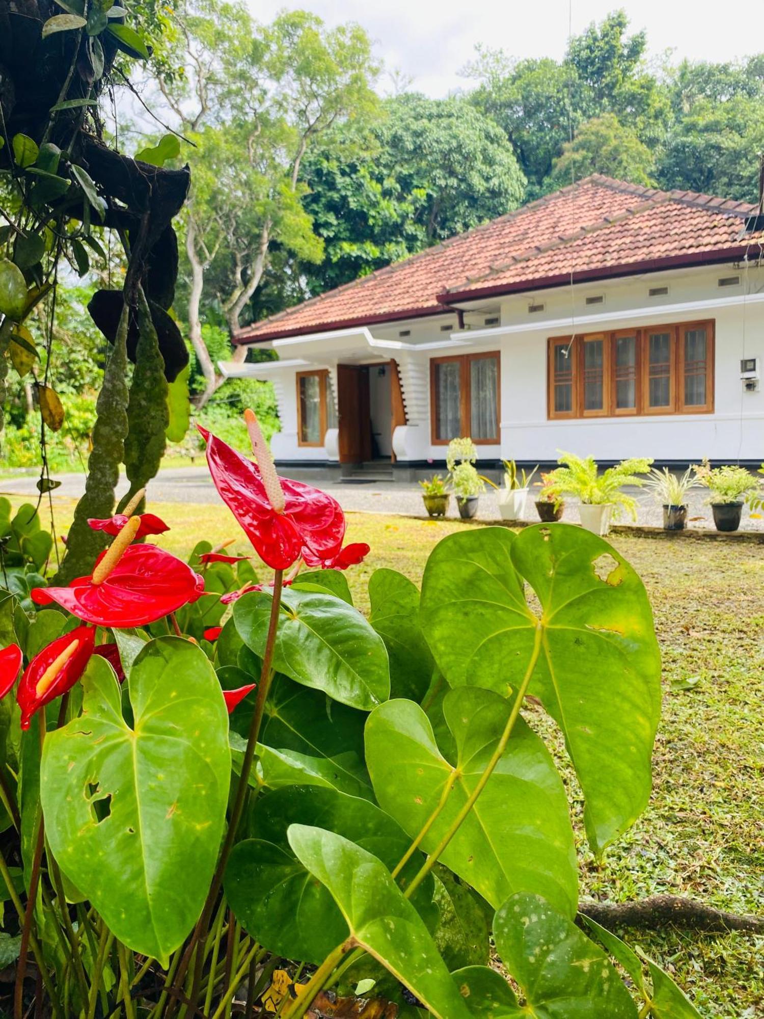 Happy Valley Residence Unawatuna Galle Buitenkant foto